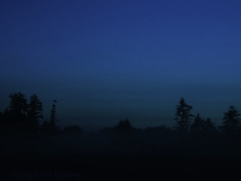 lonely dreams (Single)