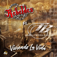 Viviendo la Vida (Single)