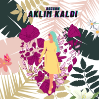 Aklım Kaldı (Single)
