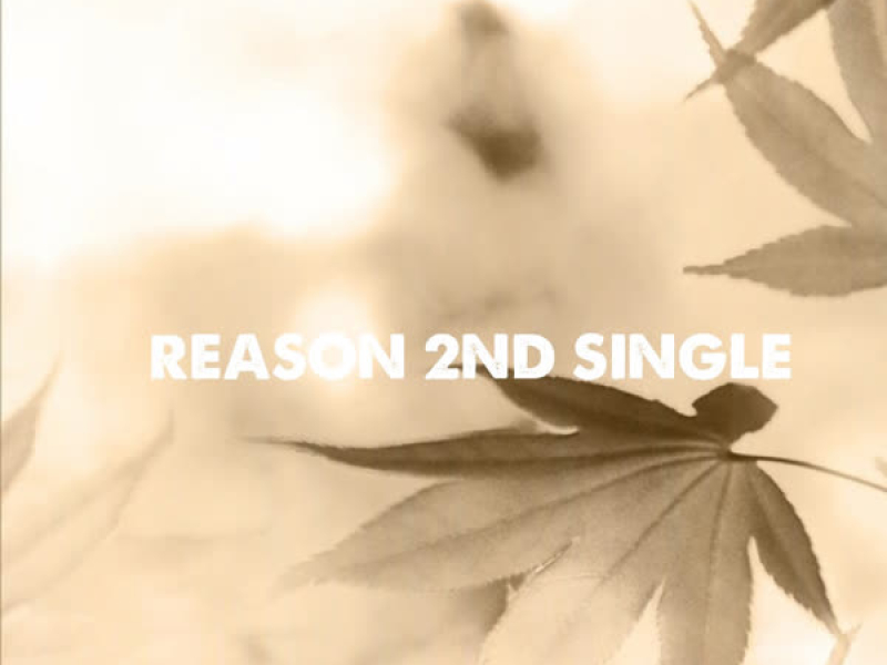 늦은 오후 (Single)