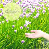 A Child In The Forest (Single)