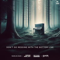 Don't Go Messing With The Bottom Line (Acoustic) (Single)