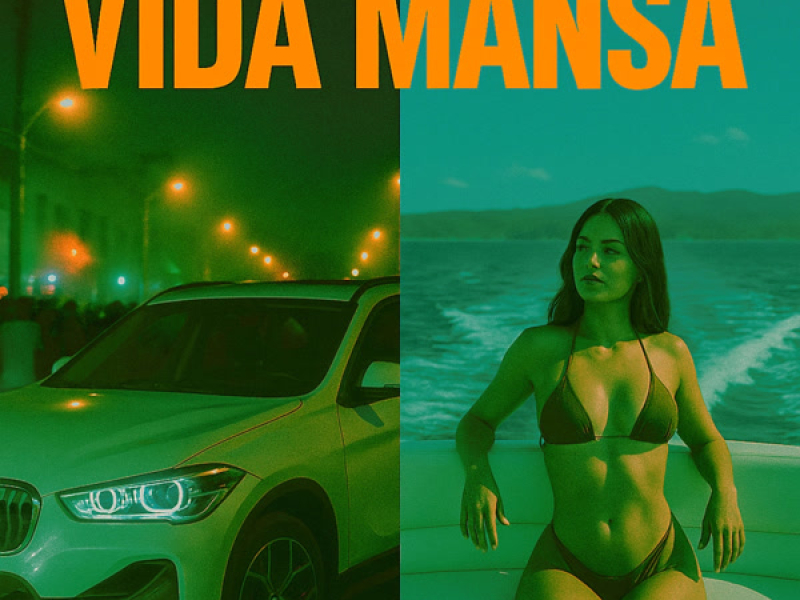 Vida Mansa (Single)