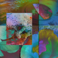 A Roar of the Basterd (Single)