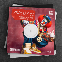 PROCESS 22 (Hybrid Hip Hop Dramedy 2) (EP)