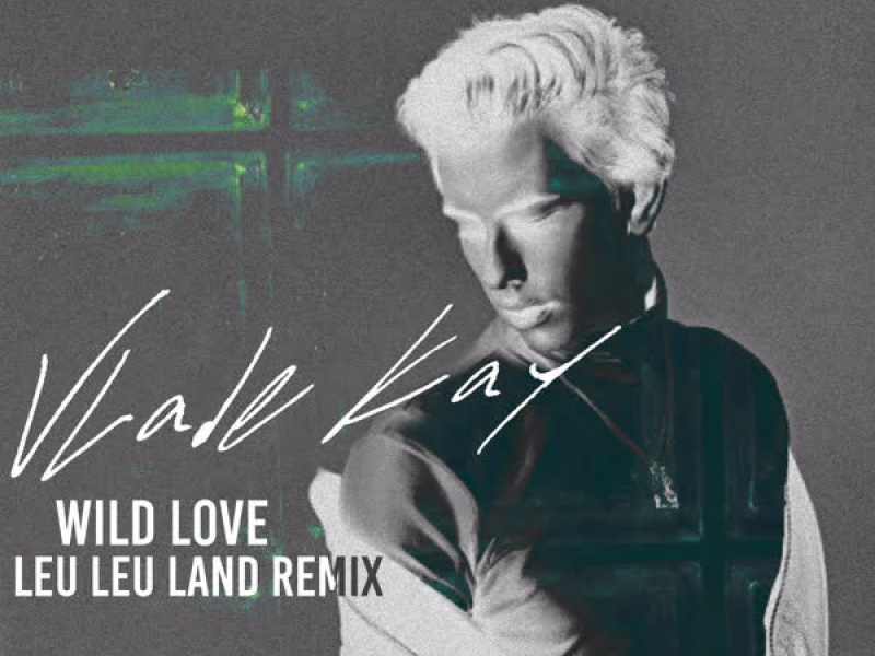 Wild Love (Leu Leu Land Remix) (Single)