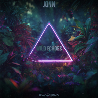 Wild Echoes (Single)