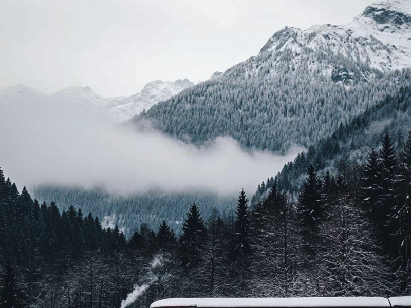 雪都停了怎么思念还在飘 (Single)