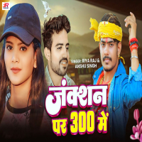 Junction Pr 300 Me (Single)