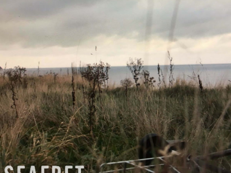 Blank You Out (Single)