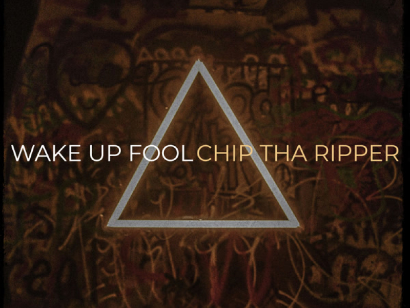 Wake up Fool (Single)