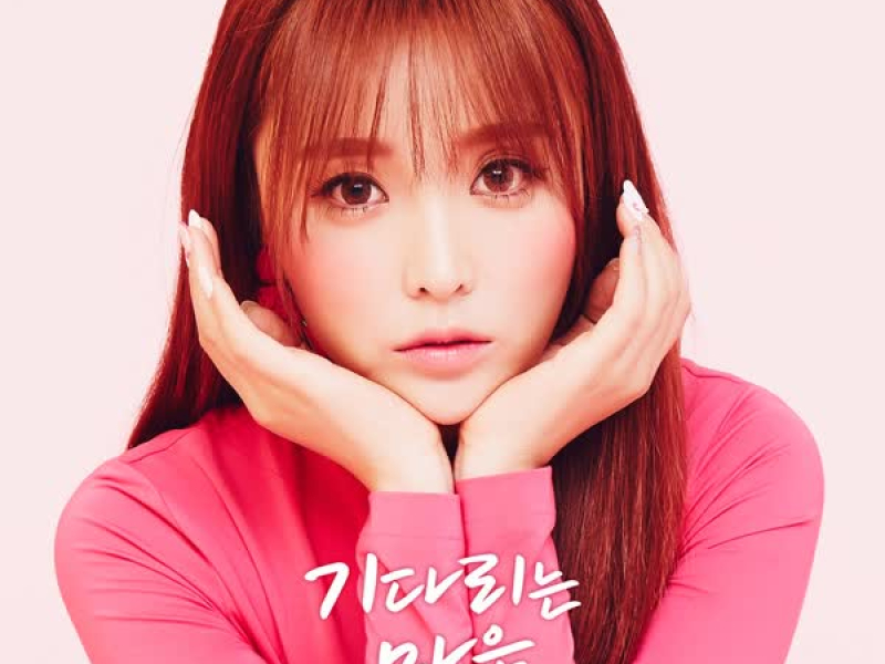 The Moon Represents My Heart (Single)