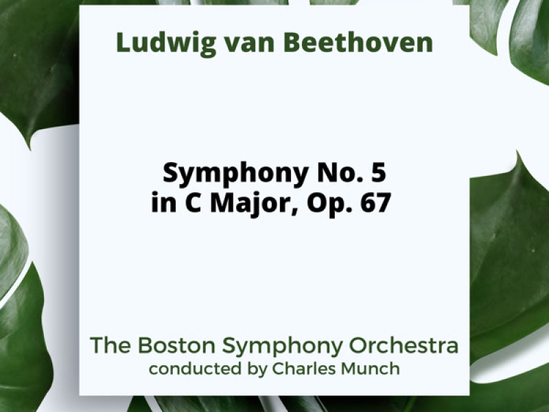 Beethoven: Symphony No. 5 in C Major, Op. 67