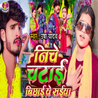 Niche Chatai Bichhai Ye Saiya (Single)