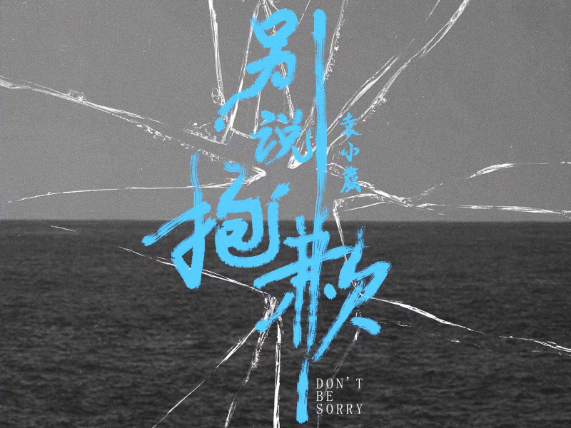 别说抱歉 (Single)