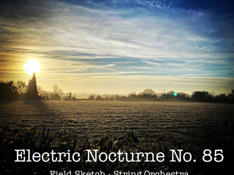 Electric Nocturne No. 85 - Field Sketch (Single)