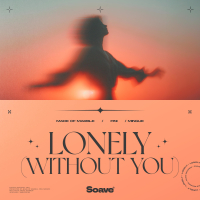 Lonely (Without You) (Single)