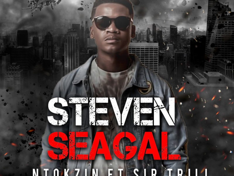 Steven Seagal (Radio Edit) (Single)