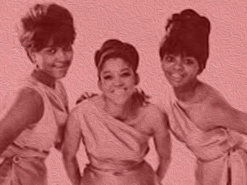 At the Hop with the Sherrys