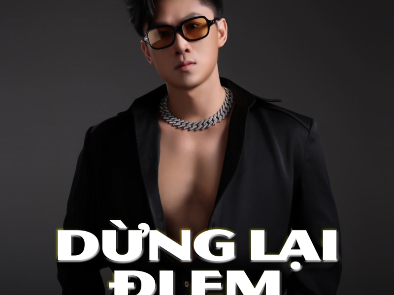 Dừng Lại Đi Em (Remix) (Single)