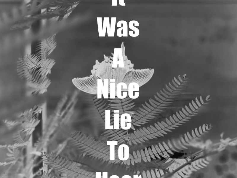 It Was A Nice Lie To Hear (Single)
