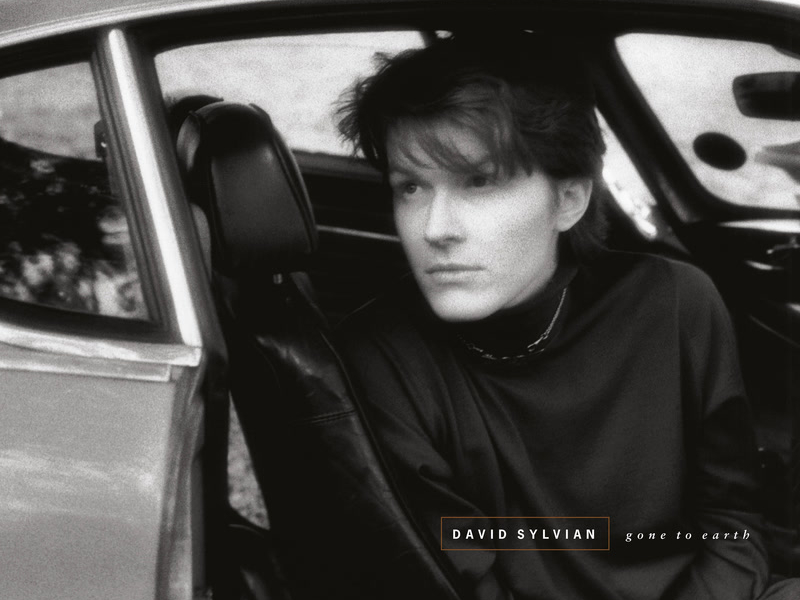 Gone To Earth (Remastered 2003)