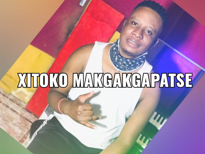 Xitoko Makgakgapatse (feat. Tihosi Ta Mindzhumbha) (Single)