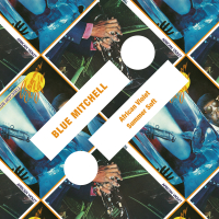 African Violet / Summer Soft