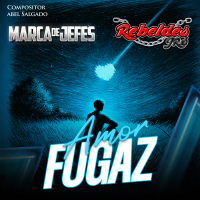 Amor Fugaz (Single)
