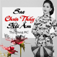 Sao Chưa Thấy Hồi Âm (Single)