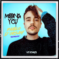 Missing You (Pablo D'Orsay Remix) (Single)