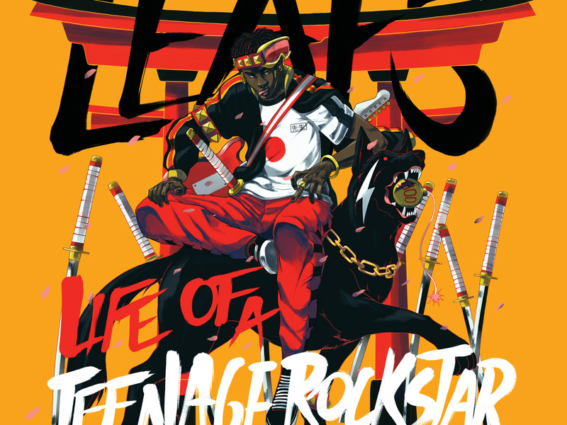 Life Of A Teenage Rockstar