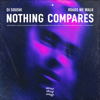 Nothing Compares (Single)