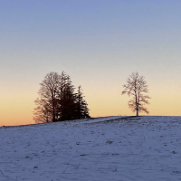 the only light (Single)