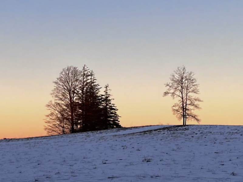 the only light (Single)