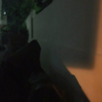 Without You (Single)