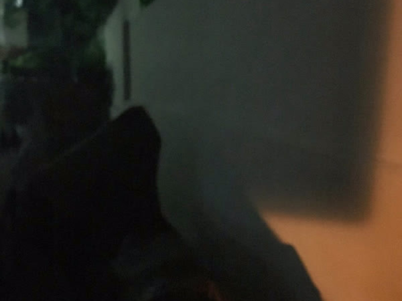 Without You (Single)