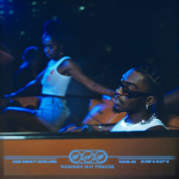 PASSENGER SEAT PRINCESS (Single)