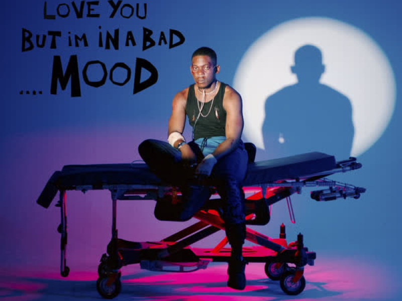 I Love You but I'm in a Bad... Mood (EP)