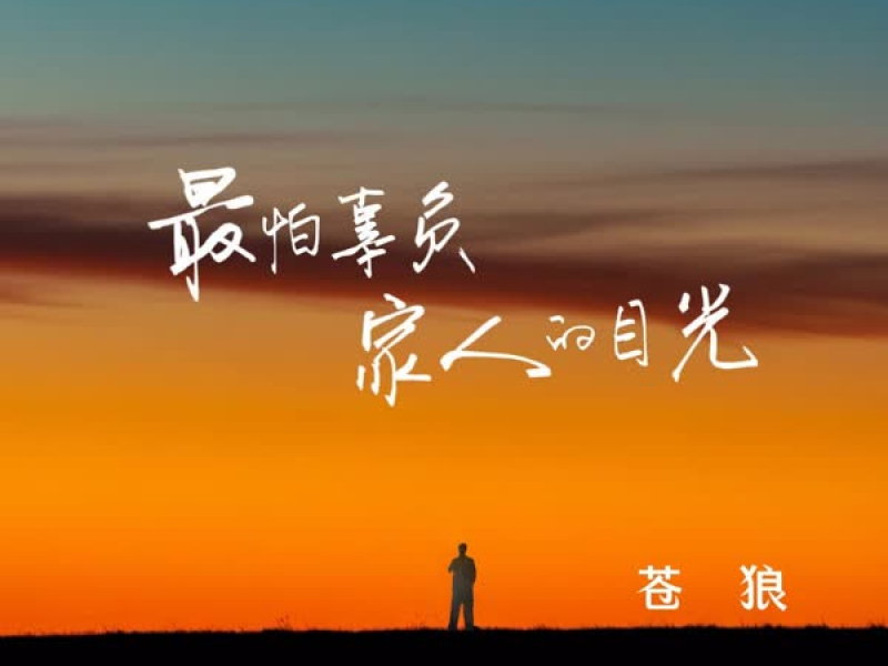 最怕辜负家人的目光 (Single)