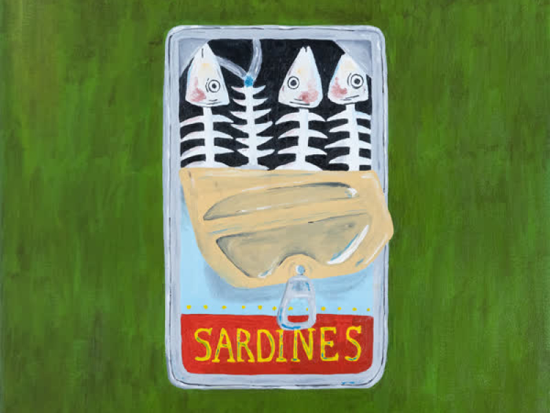 Sardines