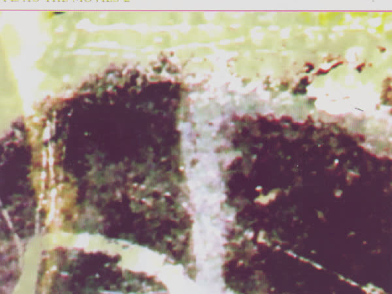 The Royal Philharmonic Orchestra Plays The Movies 2