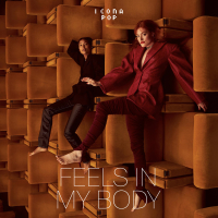 Feels In My Body (Single)