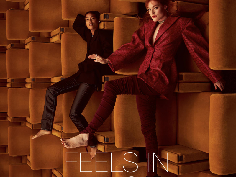 Feels In My Body (Single)