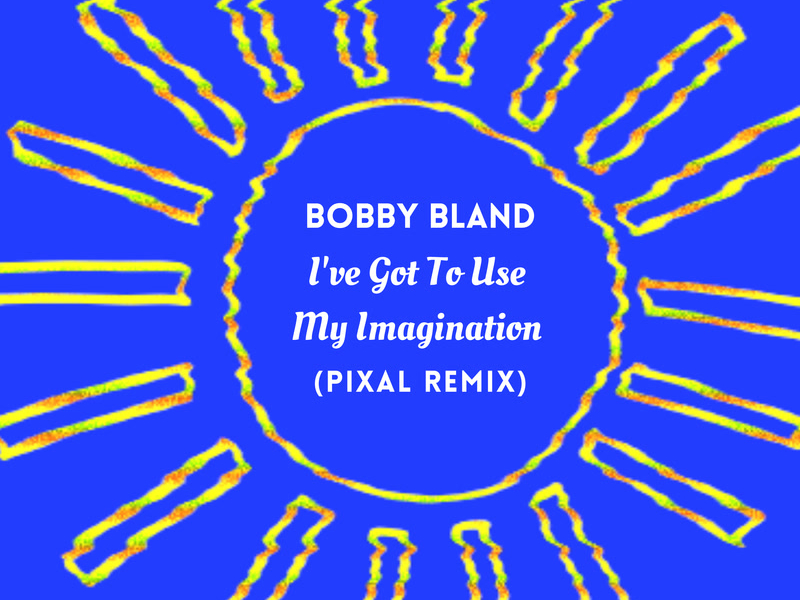 I've Got To Use My Imagination (Pixal Remix) (Single)