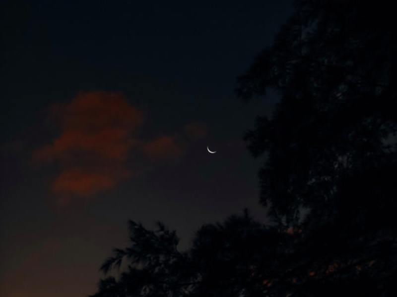 thoughts after midnight (Single)