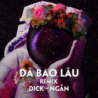 Đã Bao Lâu (Remix) (Single)