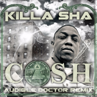 Cash (Audible Doctor Remix) (Single)