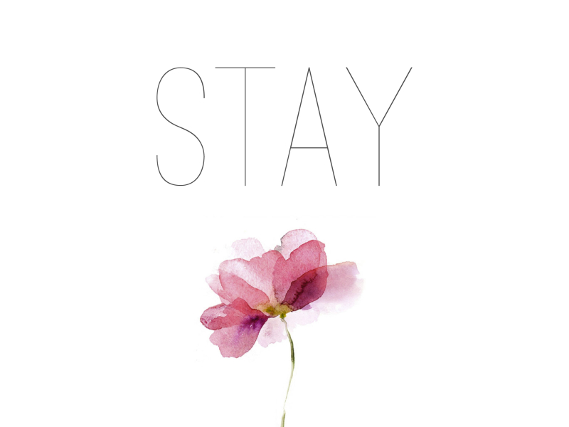 Stay (Single)