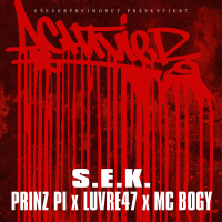 S.E.K. (Single)